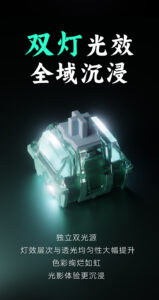 Gateron 佳達隆雙燈磁玉 Pro 磁軸 (Jade PRO Dual-SMD) | 老貓國際有限公司  Iqmore International Co., Ltd.