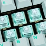 Gateron 佳達隆磁玉靜音磁軸 (Jade Silent) | 老貓國際有限公司 Iqmore International Co., Ltd.