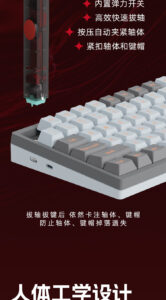 Gateron 佳達隆二合一拔軸器拔鍵器 | 老貓國際有限公司 Iqmore International Co., Ltd.